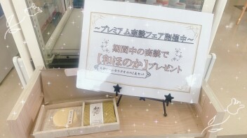 ご商談プレゼントお渡ししています！！